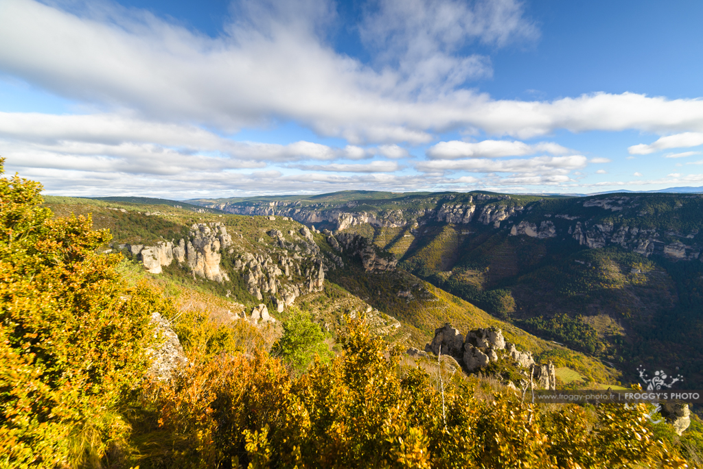 Panorama sur les Gorges du Tarn en Aveyron. Avec vue sur le Causse Méjean de la région des Grands Causses. Région classée au patrimoine mondiale de l'UNESCO pour son agropastoralisme.